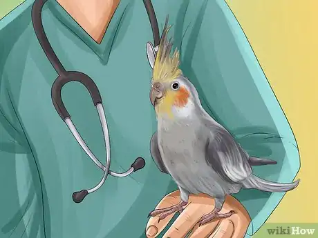 Image titled Deal with Cockatiel Night Frights Step 13