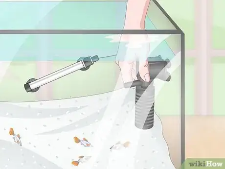 Image titled Prevent Fish From Getting Sick Step 2