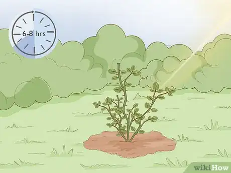 Image titled Plant Bare Root Roses Step 15