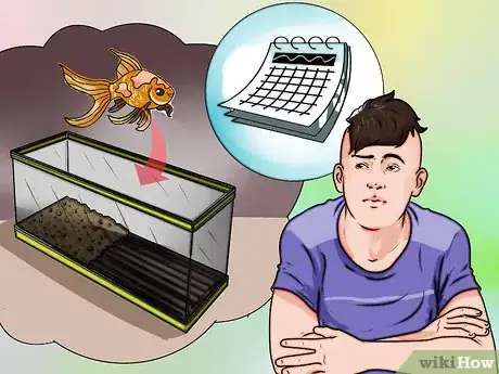 Image titled Set Up an Aquarium Step 11