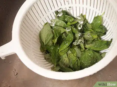 Image titled Freeze Basil Step 9