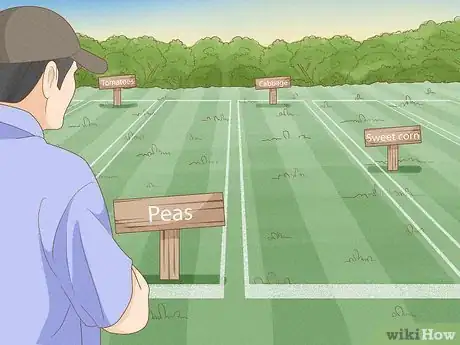 Image titled Use Crop Rotation in Gardening Step 3