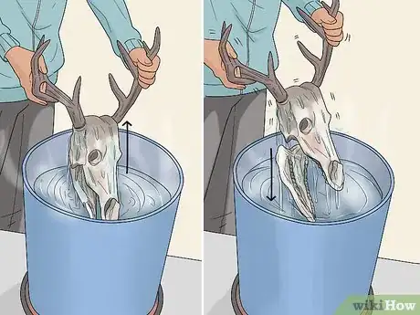 Image titled Do a European Mount Step 9