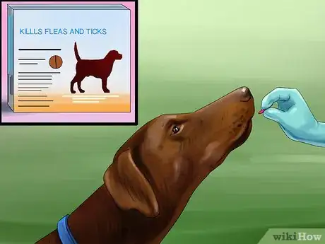 Image titled Keep Ticks from Your Dogs Step 7