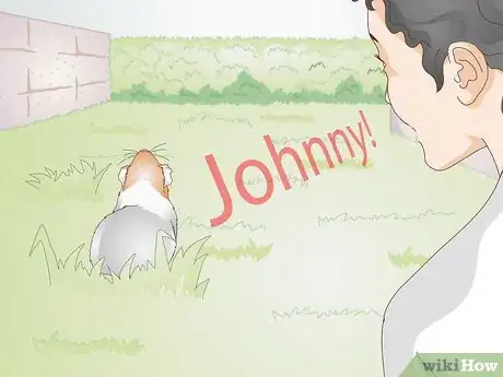 Image titled Choose Your Guinea Pig's Name Step 7