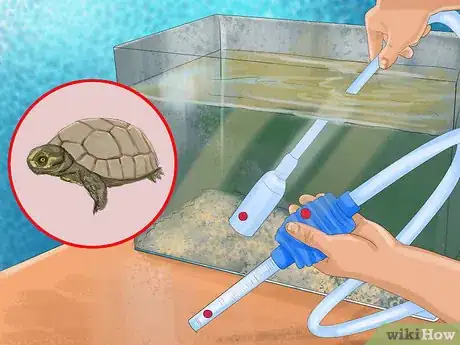 Image titled Choose the Right Reptile as a Pet Step 6