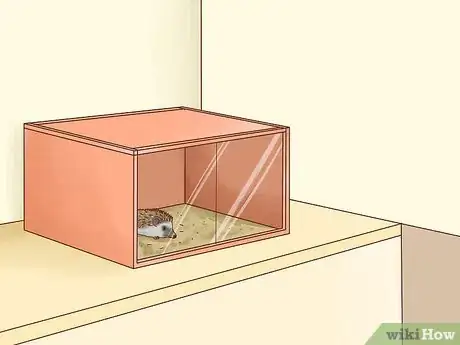 Image titled Take Care of a Hedgehog Step 19
