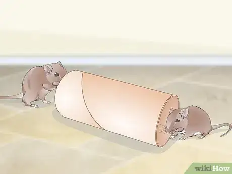 Image titled Exercise Your Gerbil Step 6