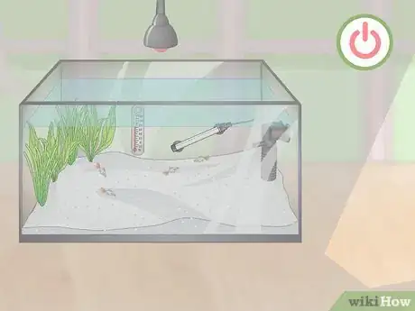 Image titled Prevent Fish From Getting Sick Step 6