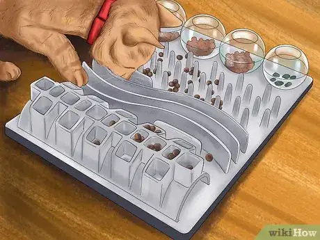 Image titled Keep a Cat's Mind Active Step 8