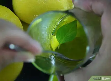 Image titled Make a Vodka Mojito Step 1