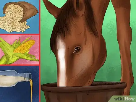 Image titled Maintain Healthy Weight for a Horse Step 9
