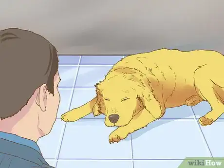 Image titled Get Veterinary Hospice Care for Your Dog Step 1