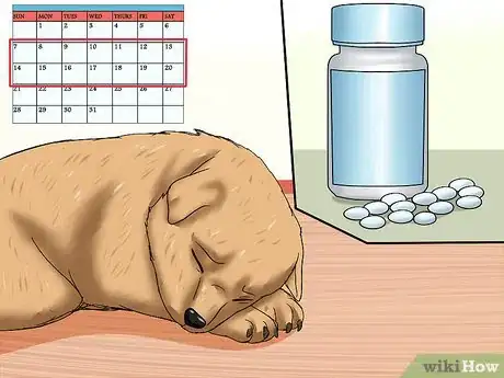 Image titled Treat Ascarids in Dogs Step 10