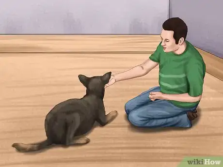 Image titled Help a Dog Suffering from Trauma Step 15