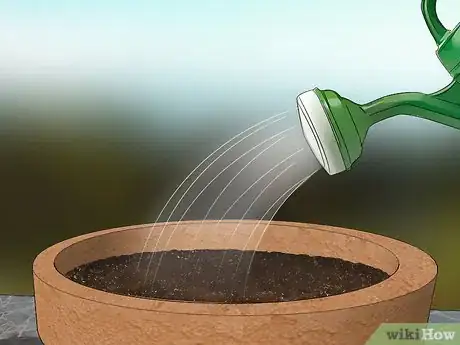 Image titled Grow Herbs in Pots Step 5