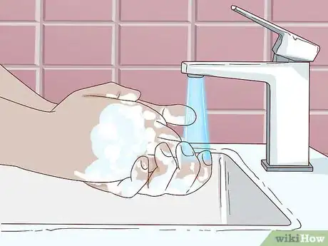 Image titled Diagnose and Treat Epizootic Catarrhal Enteritis in Ferrets Step 13