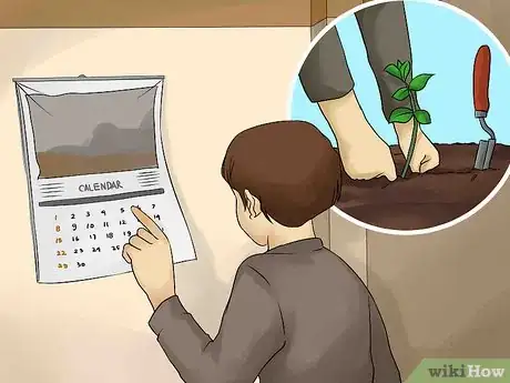 Image titled Create Tree Flower Beds Step 9