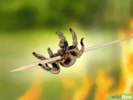Image titled Eat an Insect or Arachnid Step 14