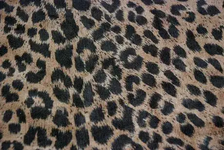 Image titled Georgefabric.JPG