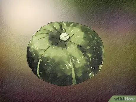 Image titled Choose Between Winter Squashes Step 8