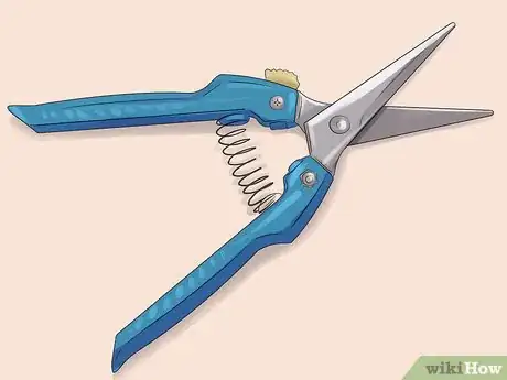 Image titled Grow Ivy Step 18