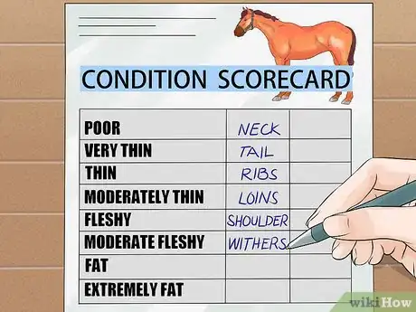 Image titled Do Condition Scoring for Horse Yearlings Step 6