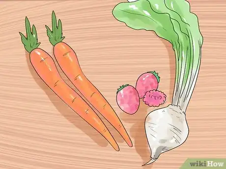 Image titled Dye Your Pet Step 4