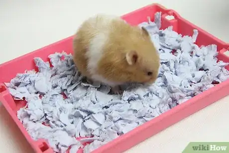Image titled Make Hamster Bedding Similar to Carefresh Intro