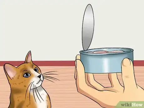 Image titled Treat Thunderstorm Anxiety in Cats Step 10