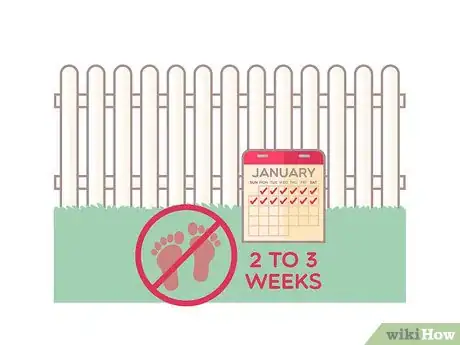 Image titled Lay a Turf Lawn Step 12