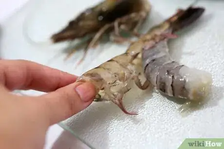 Image titled Clean Prawns Step 7