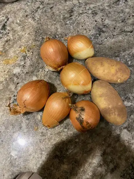 Image titled IMG_2891