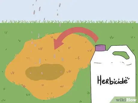 Image titled Bring Back Dead Grass Step 12