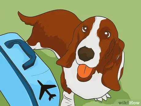 Image titled Handle Holiday Travel with Your Pet Step 7