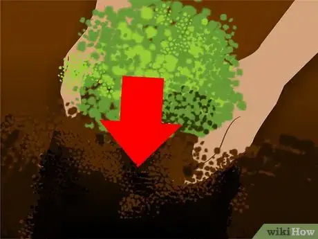 Image titled Plant a Flowering Almond Shrub Step 7