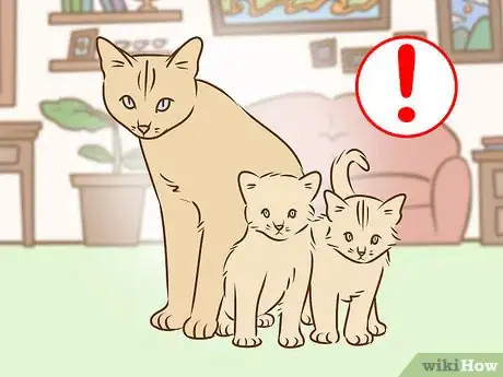 Image titled Referee Two Irritable Cats That Don't Get Along Step 10