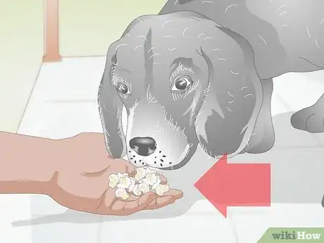 Image titled Choose Healthy Treats for a Senior Dog Step 3
