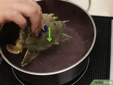Image titled Cook a Crab Step 11