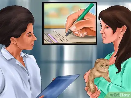 Image titled Get Your Cat's Teeth Professionally Cleaned Step 7