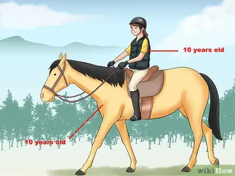 Image titled Buy Your First Horse Step 7