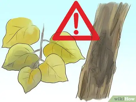 Image titled Prune a Redbud Tree Step 8