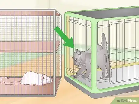 Image titled Keep Pet Rats Safe Around Other Pets Step 4