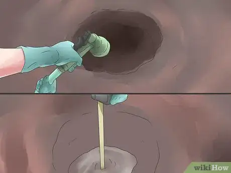 Image titled Grow Poppies Step 4