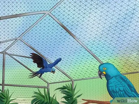 Image titled Care for a Hyacinth Macaw Step 6