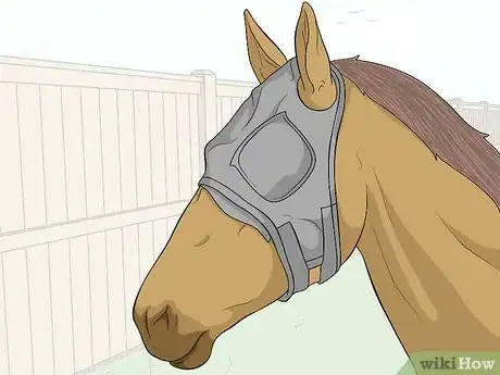 Image titled Protect an Injured Eye on a Horse Step 2