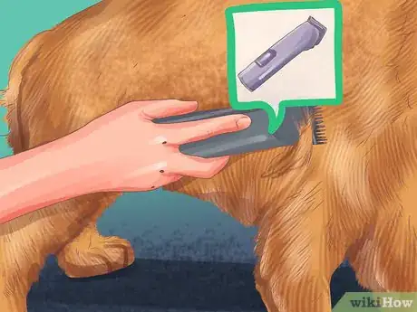 Image titled Groom a Thick Furred Dog Step 10
