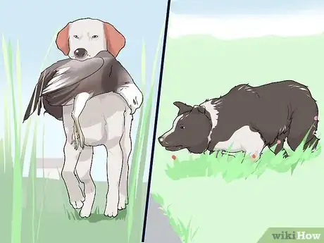 Image titled Live with a Dog with a High Prey Drive Step 4