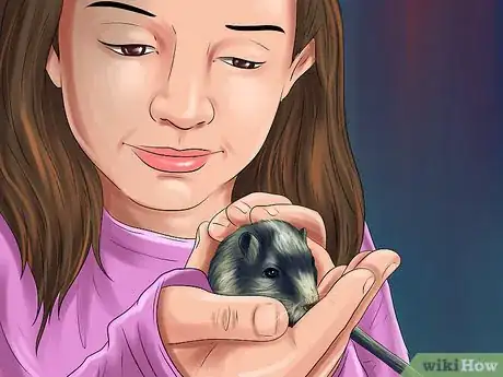 Image titled Treat Gerbils Prone to Seizure Step 8