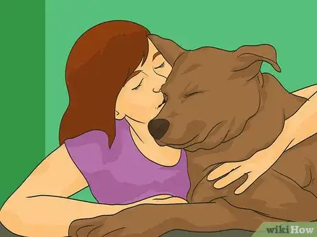 Image titled Handle Holiday Travel with Your Pet Step 19